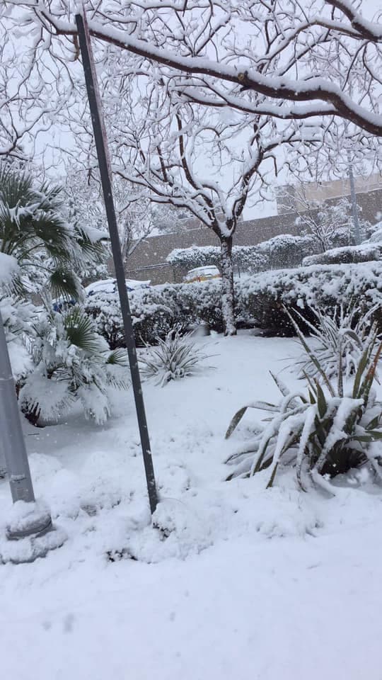 "Palmdale", escribió Beatris Flores.