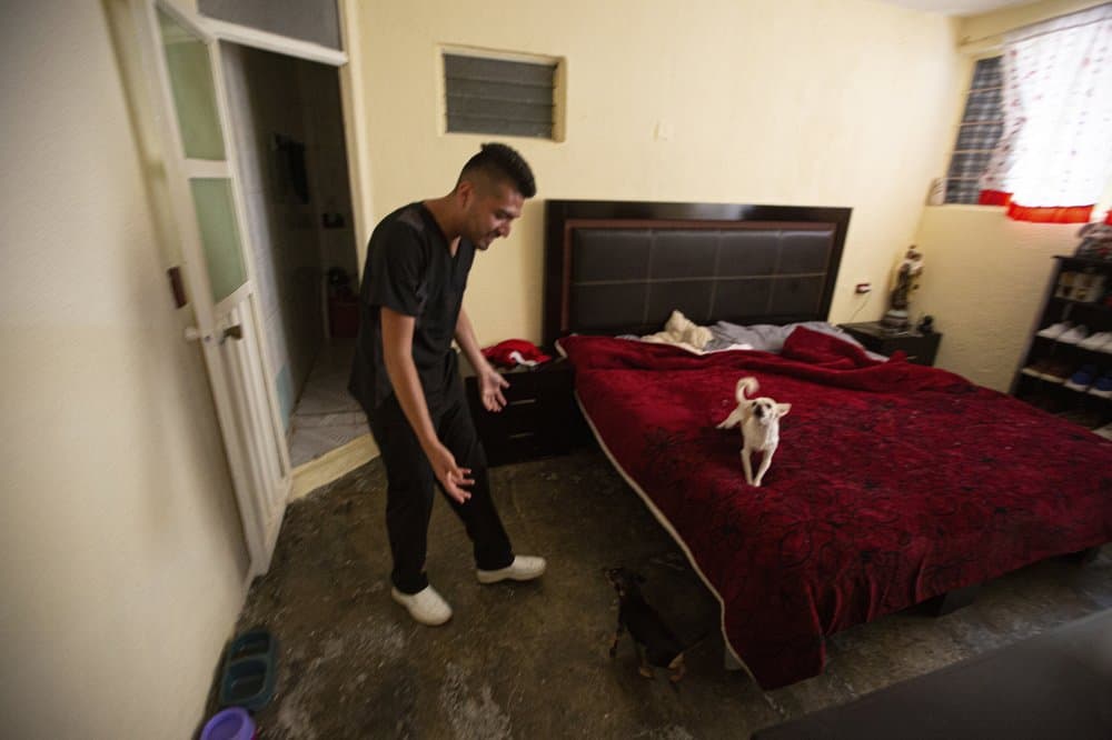 Visitar a los que le ganaron la batalla a la pandemia
<b> </b>le da una bocanada de esperanza especialmente ahora, que la situación se está complicando, por lo que intenta transmitirlo en su vida diaria, como cuando juega con una de sus tres mascotas Chihuahuas después de llegar a su casa.