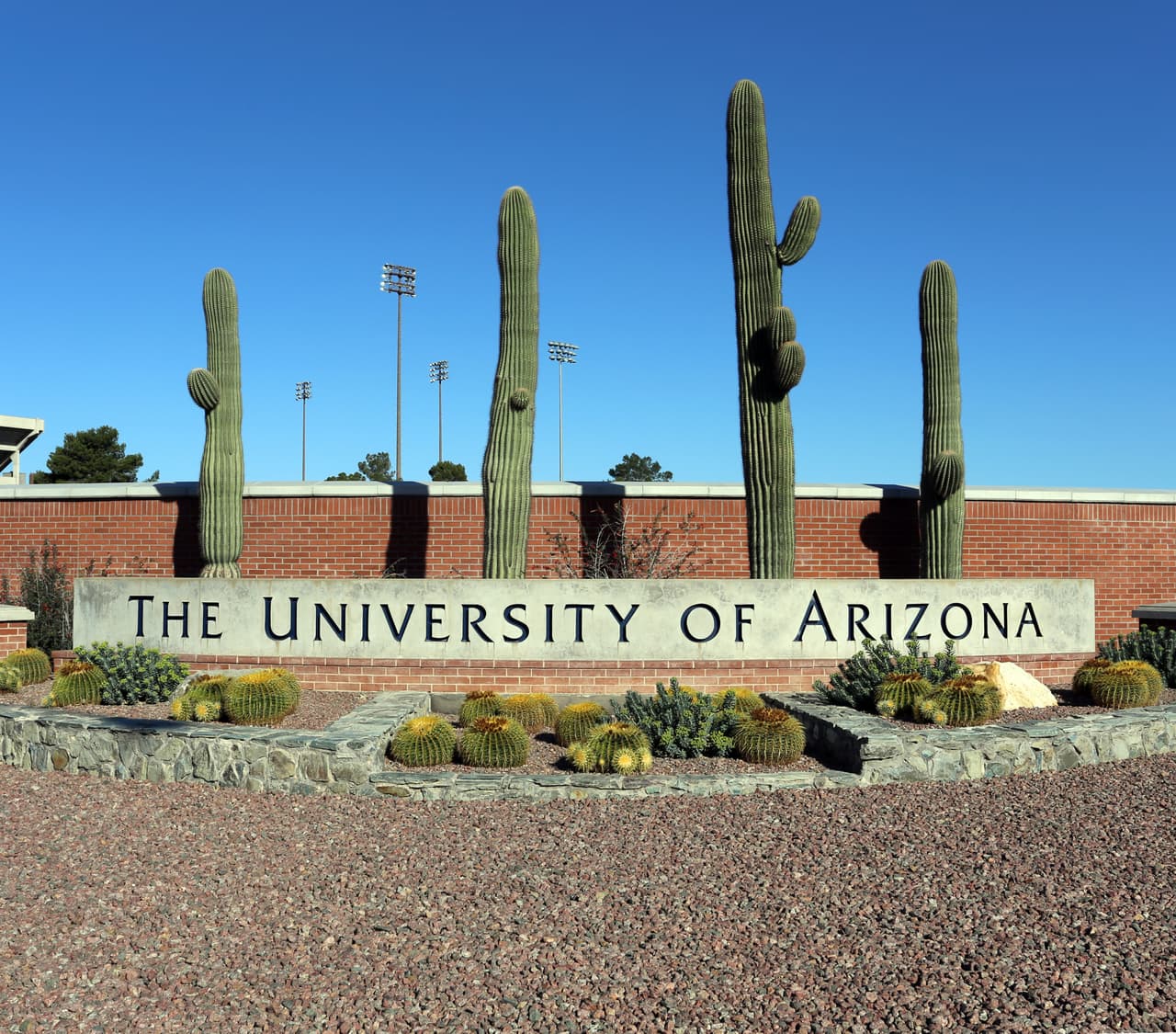 Chris Sigurdson, portavoz de la Universidad de Arizona, aseguró en febrero que la universidad no se declarará 'campus santuario' para 
<a href="http://tucson.com/news/local/education/arizona-s-public-universities-will-not-consider-becoming-sanctuaries/article_8432d51c-ffda-55fb-87bb-e6a8cca301d2.html"><b>no poner en peligro el campus</b></a>. A su vez, comentó que han hecho un buen trabajo para asegurar a los estudiantes indocumentados, aunque nunca especificaron las medidas que han tomado.