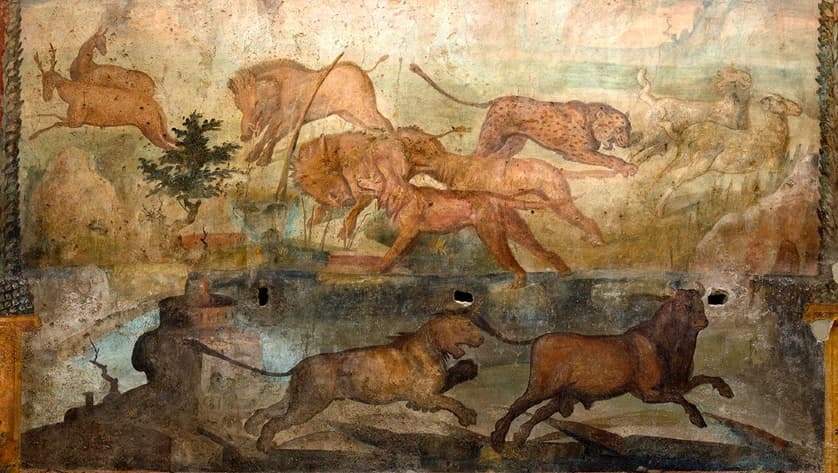 El fresco incluye (en el detalle de la imagen)
<b> animales salvajes de caza en movimiento como un toro y un leopardo</b> que fueron retocados por los especialistas. Estas representaciones atestiguan "el vínculo y el interés" del dueño de la "domus" por el mundo egipcio y por el culto a la diosa Isis, particularmente extendido en Pompeya en su último periodo.