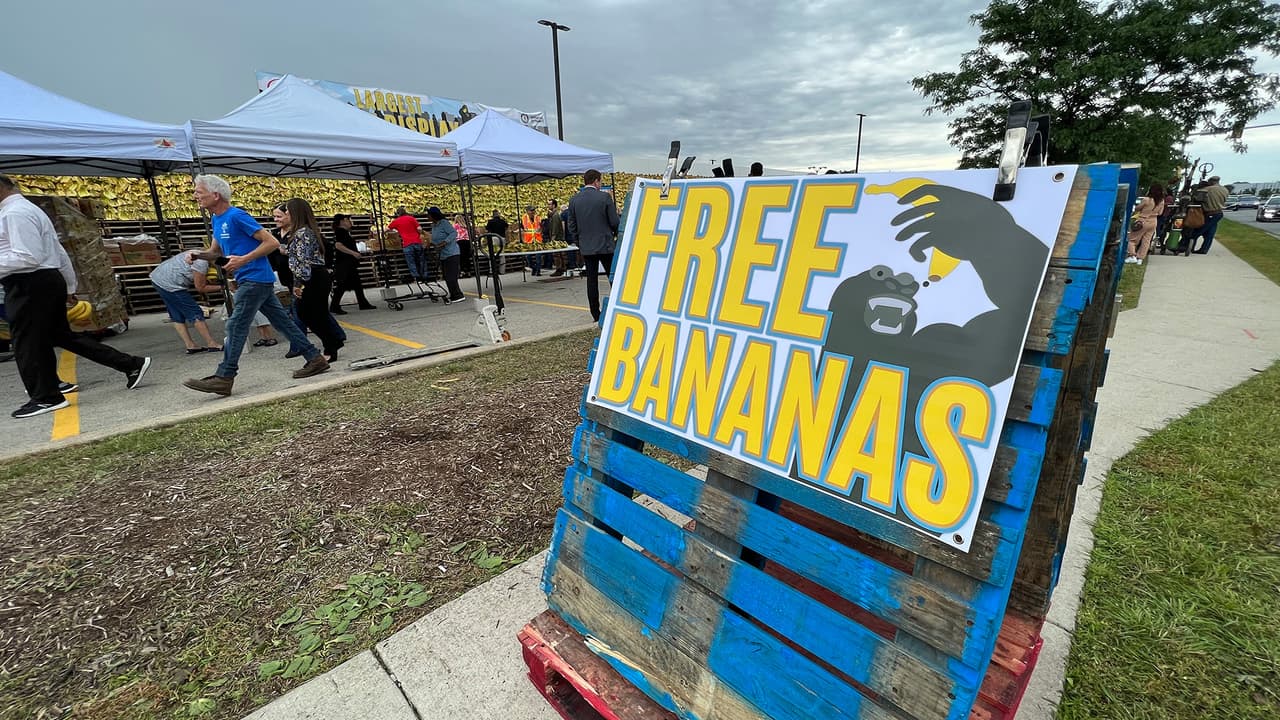 De hecho, la marca que batió el récord es apenas 
<b>la mitad de la cantidad diaria</b> que almacenan en el área de frutas y verduras: 
<b>140,000 libras.</b>