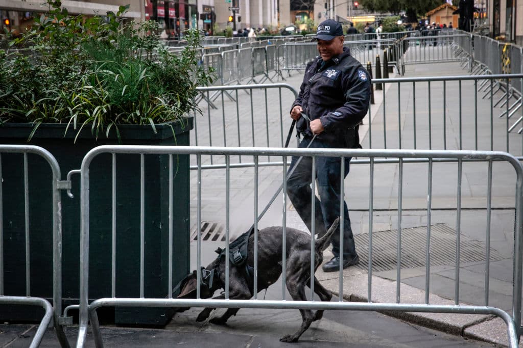 El Departamento de Policía de Nueva York (NYPD) reforzó la seguridad tras un 
<a href="https://www.univision.com/local/nueva-york-wxtv/brian-thompson-asesinato-ceo-unitedhealthcare-manhattan-fotos">atentado mortal contra un empresario cerca de la zona del encendido del árbol. </a>