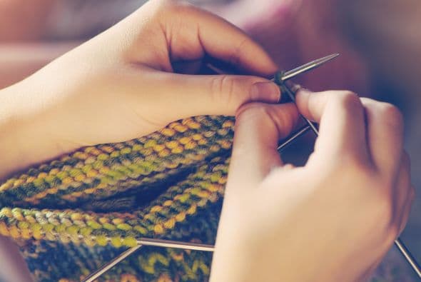 Además, hay clases de interés especial que incluyen ajedrez, compostaje de alimentos, exploración de la ecología y plantas nativas en Los Ángeles, tejido y crochet.