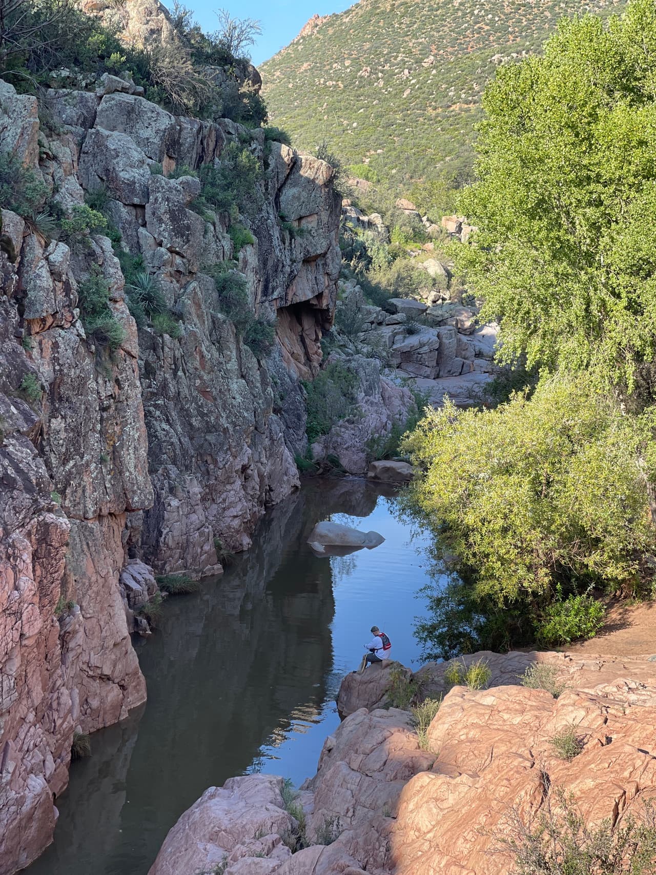 Los perros también pueden usar este sendero, pero deben mantenerse con correa.