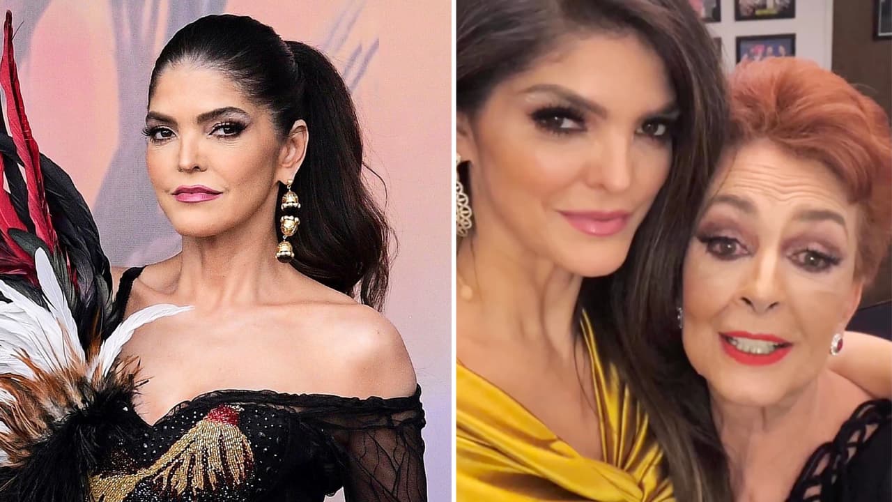 Ana Bárbara conoció a Talina Fernández mucho antes de cuidar a sus nietos: así fue su primer encuentro