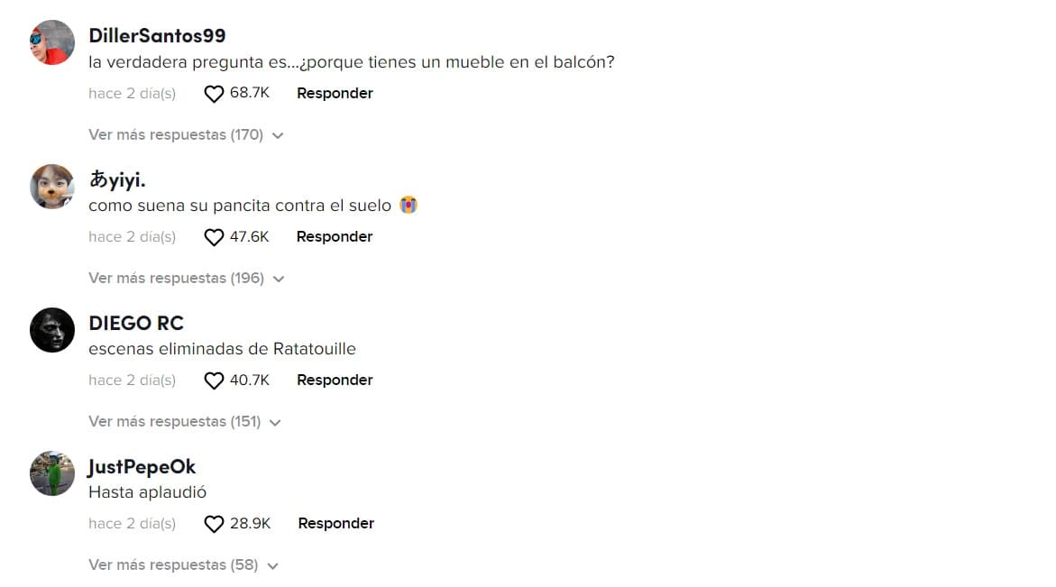 Los usuarios quedaron sorprendidos con el 'vuelo' de la rata