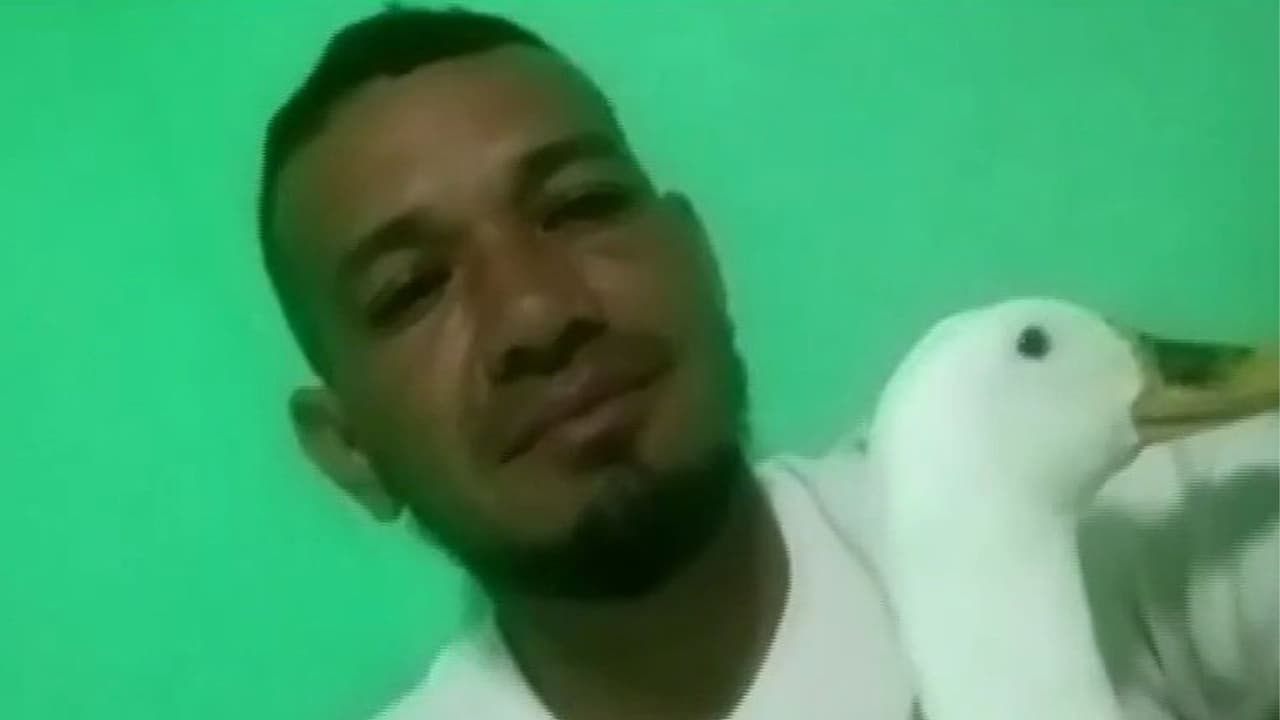 Amistad sin fronteras: Migrante venezolano emprende regreso a casa con su fiel acompañante, la pata Filomena
