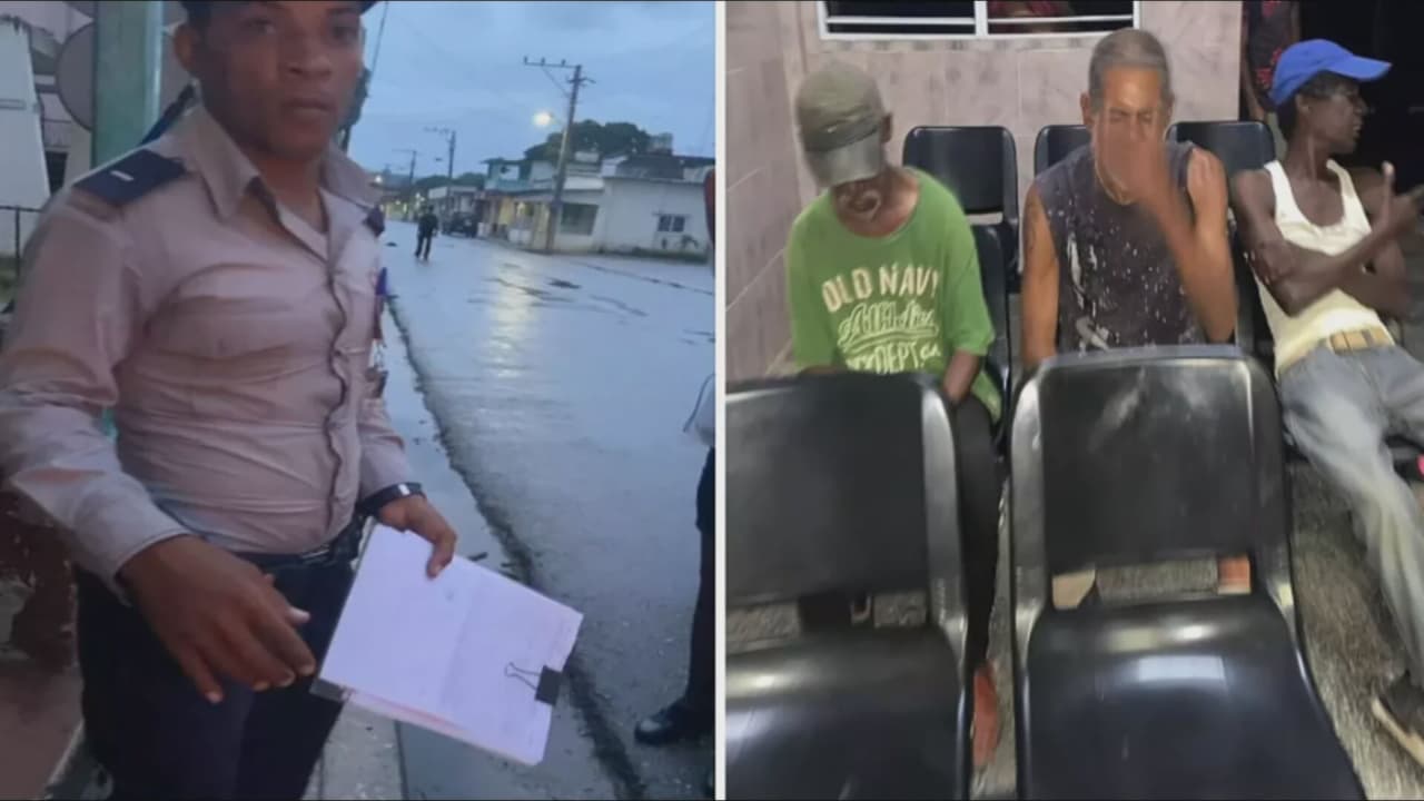 Denuncian robo y sacrificio de perros en Cuba para vender su carne como si fuera de cerdo