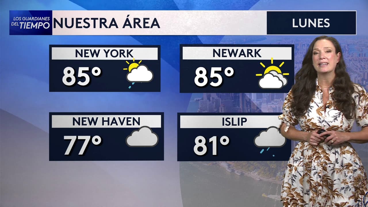 Pronóstico del tiempo hoy en Nueva York: Día con nubosidad pasajera y humedad; el termómetro alcanzará 85 °F