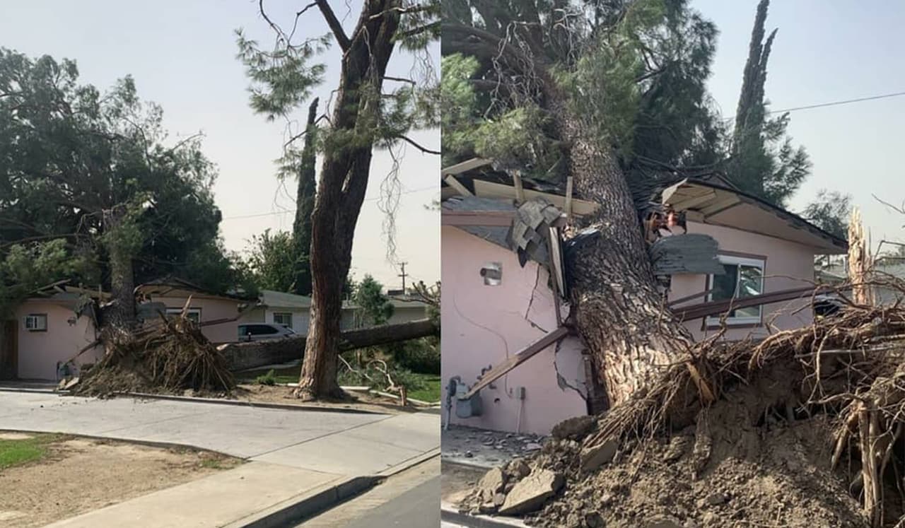 Reportan los primeros daños tras los fuertes vientos que azotan el sur del valle
