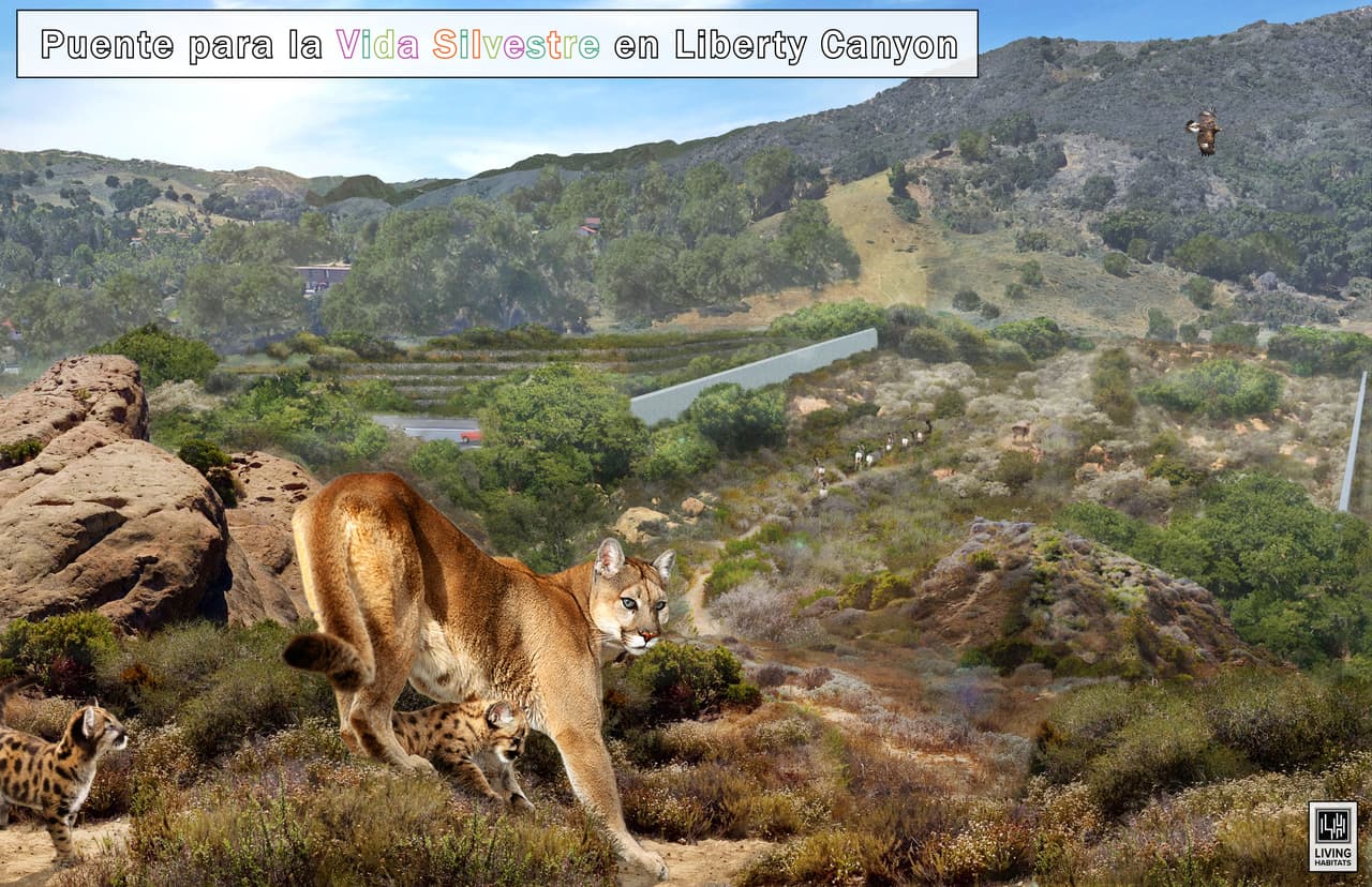 Los avances del puente, con un costo estimado de construcción de 87 millones de dólares, se dieron a conocer en Los Ángeles por Living Habitats LLC y la National Wildlife Federation.