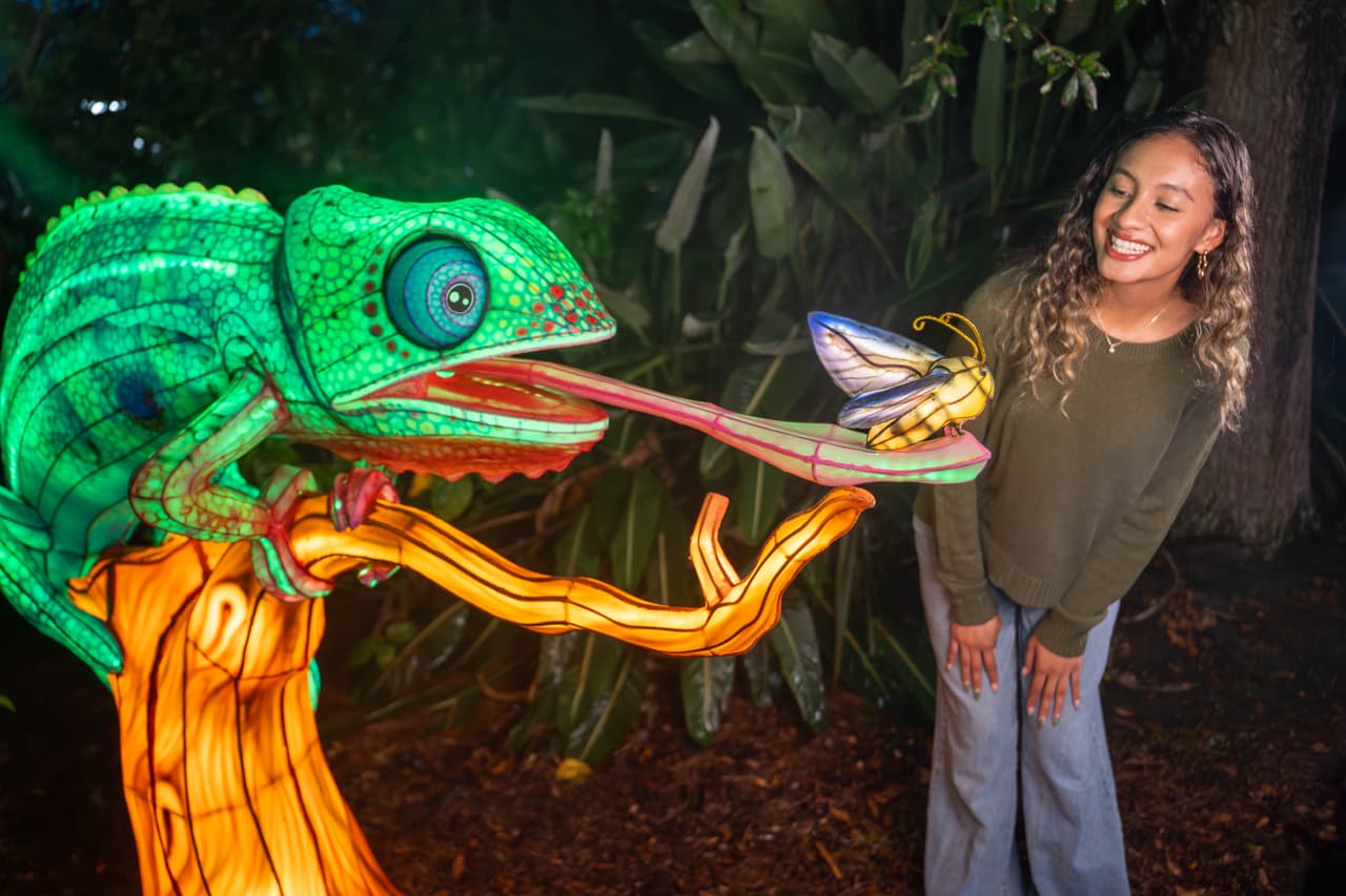 Aquatica Orlando anuncia un nuevo evento nocturno con cinco reinos de luz