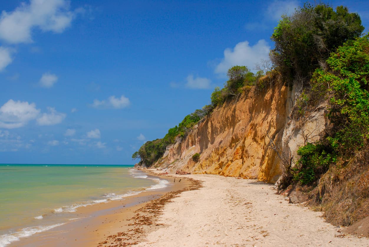 Un hombre muere al caer de un acantilado de 40 pies de altura mientras intentaba tomarse una selfie