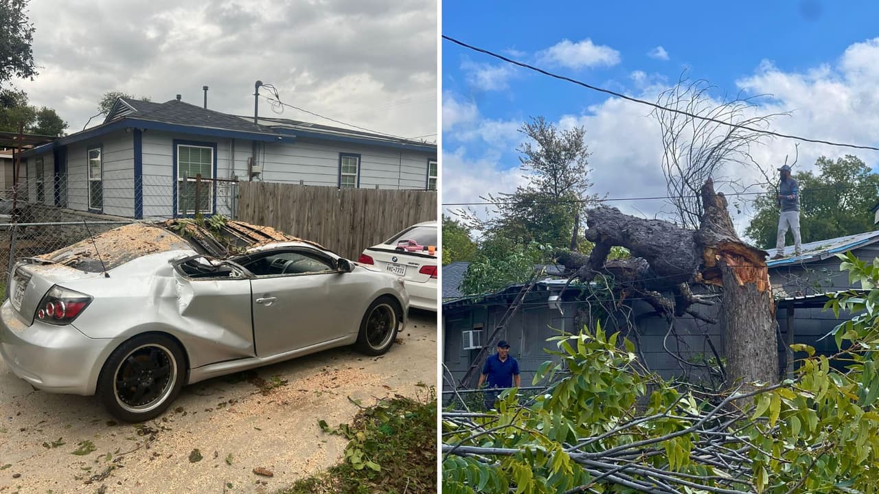 Árboles caídos, techos derrumbados y más daños por fuertes vientos en Fort Worth