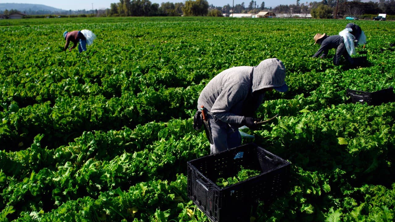 Tres campesinos son asaltados a mano armada en Visalia y les despojan de carteras y celulares