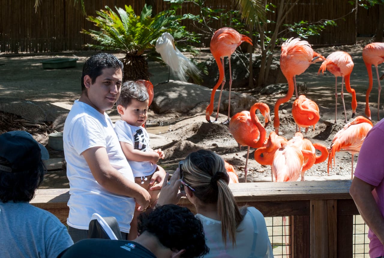 Un bello dia fue perfecto para las familias desde Bakersfield a Modesto.