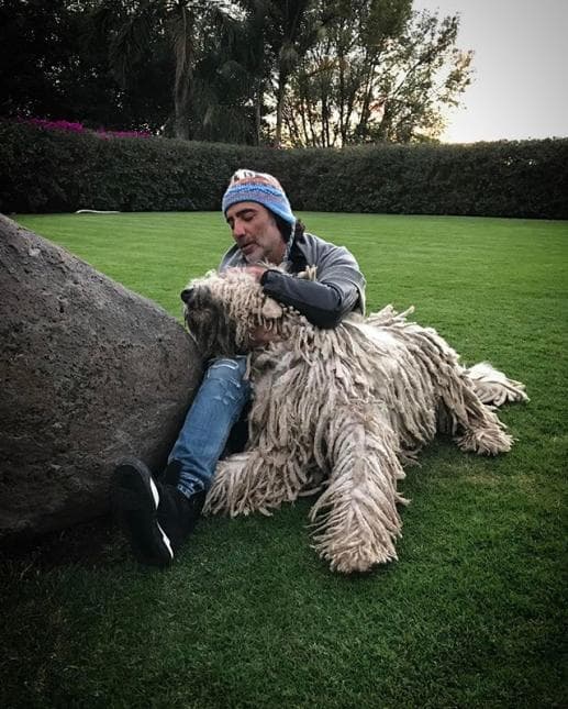 Así de mucho quiere a su perrote
<b>Alejandro Fernández</b>.