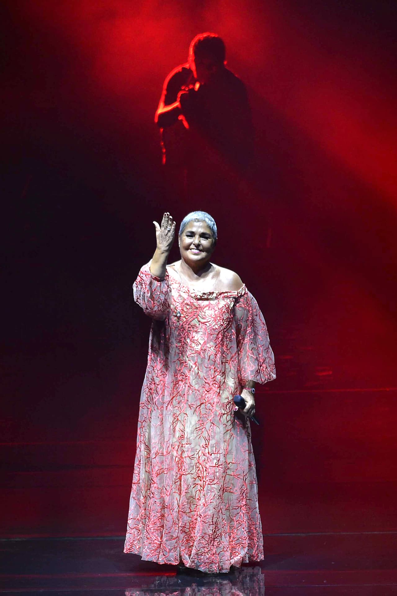 Pero, ¿cómo comenzó la carrera artística de la '
<b><a href="http://www.univision.com/temas/lupita-dalessio">Leona dormida</a></b>'? Aquí te damos un recorrido por sus grandes triunfos y su encuentro con las adicciones que la hicieron tocar fondo.