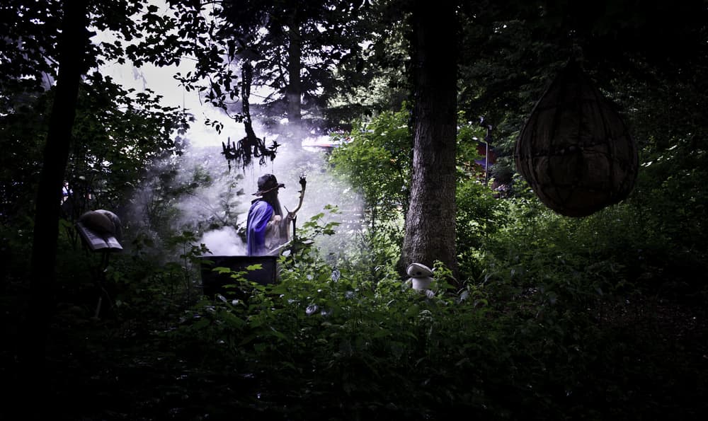 Los druidas creeían que el alma de los muertos rondaba por las noches durante esta época, así que este festival otoñal cobraba un significado tétrico al considerar que fantasmas, brujas, demonios y otras criaturas paranormales rondaban de un lado a otro, por lo que había que buscar una manera de controlarlos y aplacarlos.