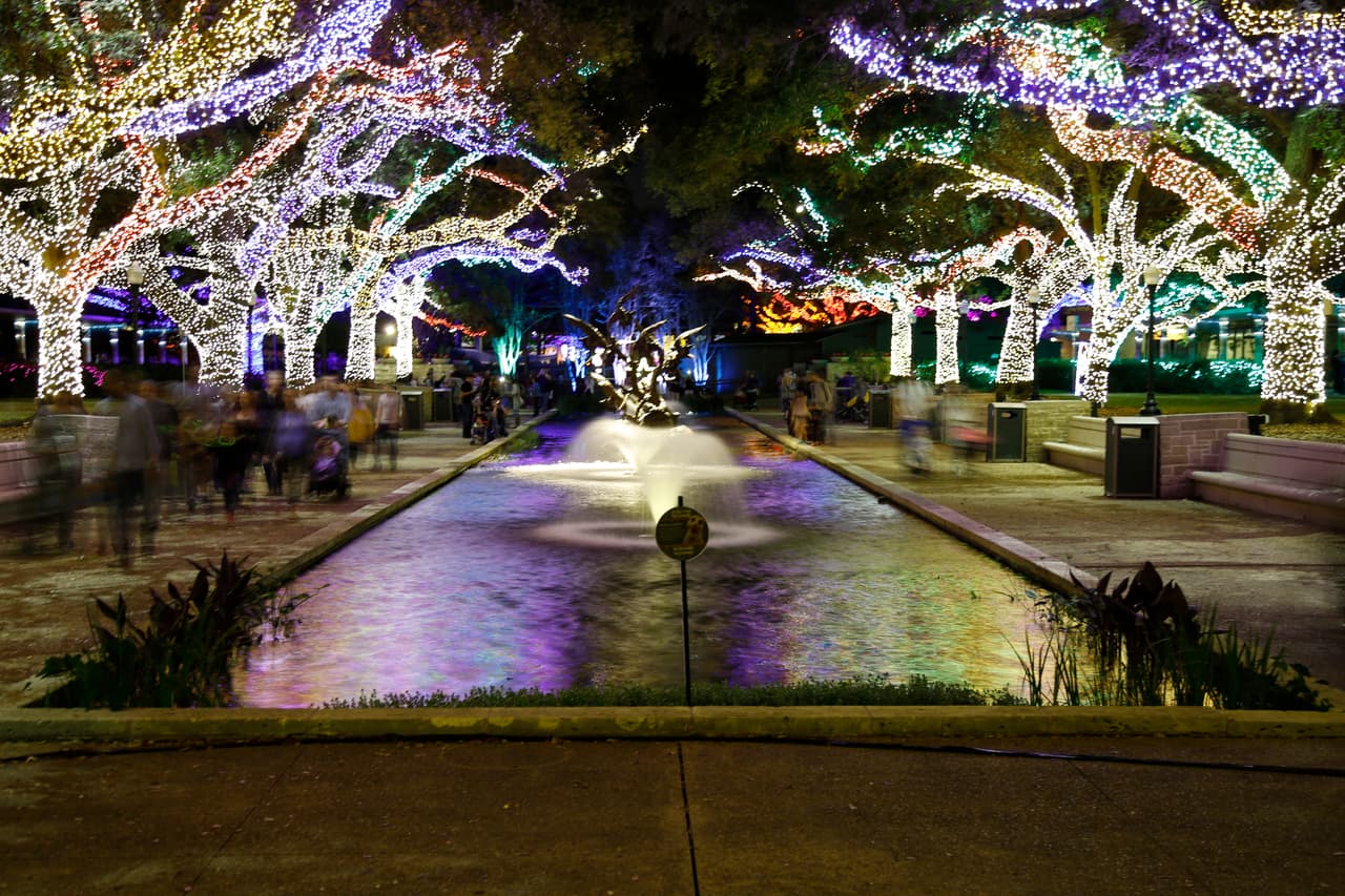 Las decenas de robles del parque fueron iluminados con miles de luces que cambian de colores y se encienden y apagan al ritmo de música navideña.