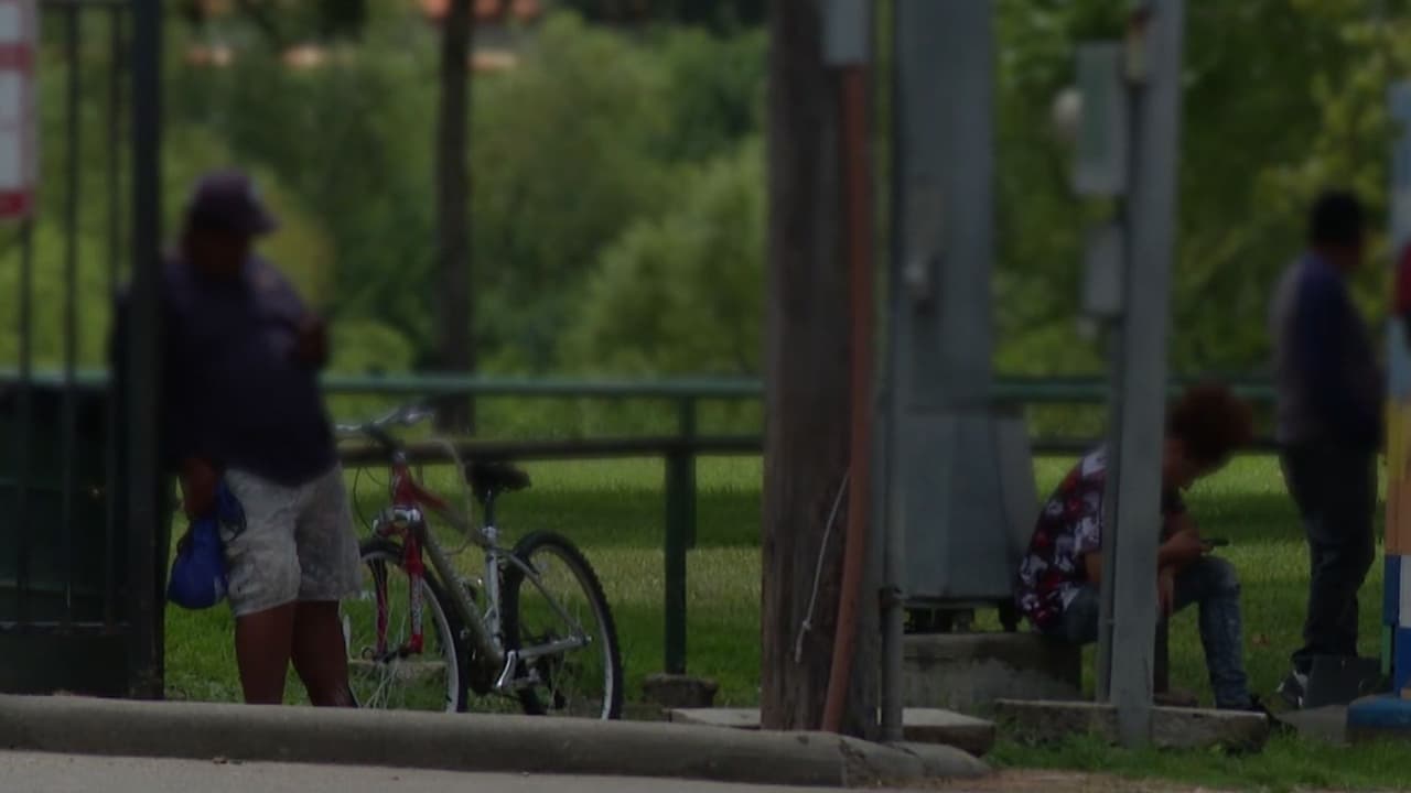 "Aunque vea que maten no digo nada": inmigrante reporta tiroteo al HPD y termina arrestado por ICE