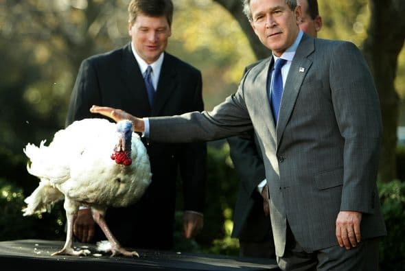 Durante su mandato Bush mandó a algunos pavos a Disneylandia.