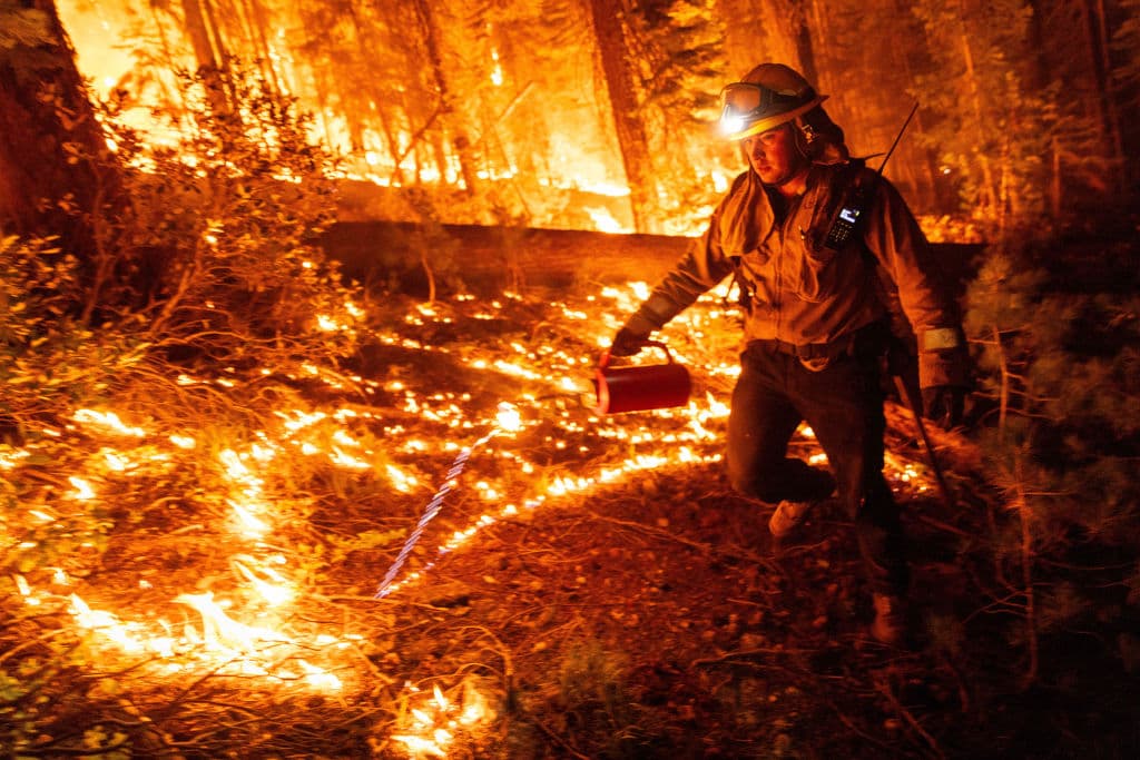El bombero Matt Carazolez trabaja en
<a href="https://www.univision.com/noticias/fenomenos-naturales/verano-clima-extremo-california-olas-de-calor-incendios-forestales-nieve">el incendio en el área de State Road 172, el 7 de agosto de 2024 in Mill Creek, California.</a> Los incendios cada año arrecian más en medio del persistente aumento de las temperaturas y las sequías prolongadas. Los incendios forestales quemaron más de 400,000 hectáreas, devoraron cientos de casas y obligaron a miles de personas a evacuar.