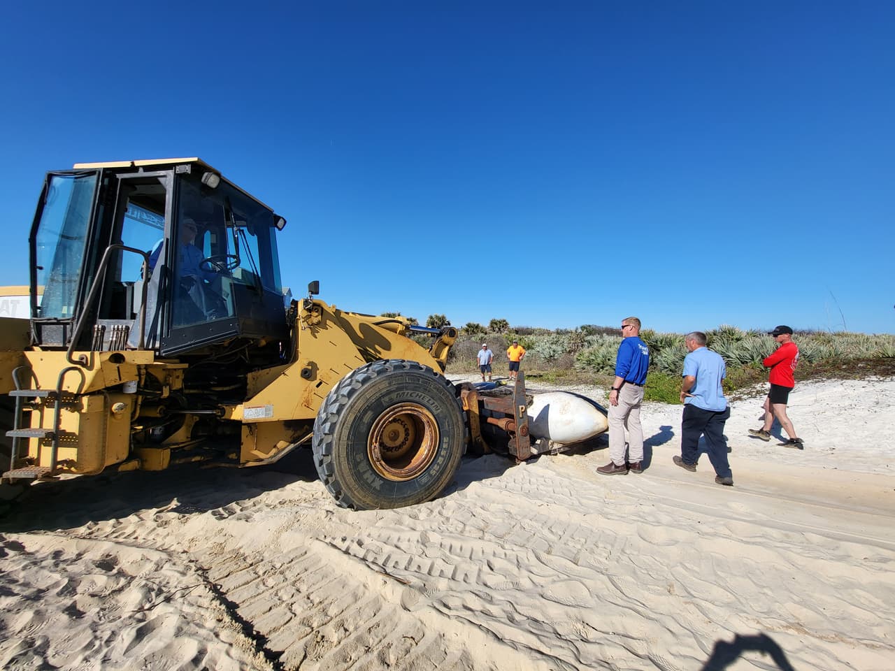 La ballena asesina de más de 7,000 libras de peso y 21 pies de largo fue localizada la mañana del 11 de enero al sur de Jungle Hut Park en Palm Coast, de acuerdo con informes iniciales del Alguacil del condado Flagler. La Administración Nacional Oceánica y Atmosférica señaló a través de un comunicado que la ballena era una hembra de edad adulta y que no tenía algún indicio de interacción con humanos o golpes, además se detectaron algunos "signos de enfermedades". Los detalles de la causa de la muerte de la ballena asesina que apareció en la costa de Florida serán dados a conocer una vez que se concluya la necropsia y los estudios de laboratorios correspondientes.
