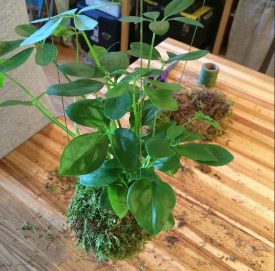 5 eventos para este fin de semana en NYC