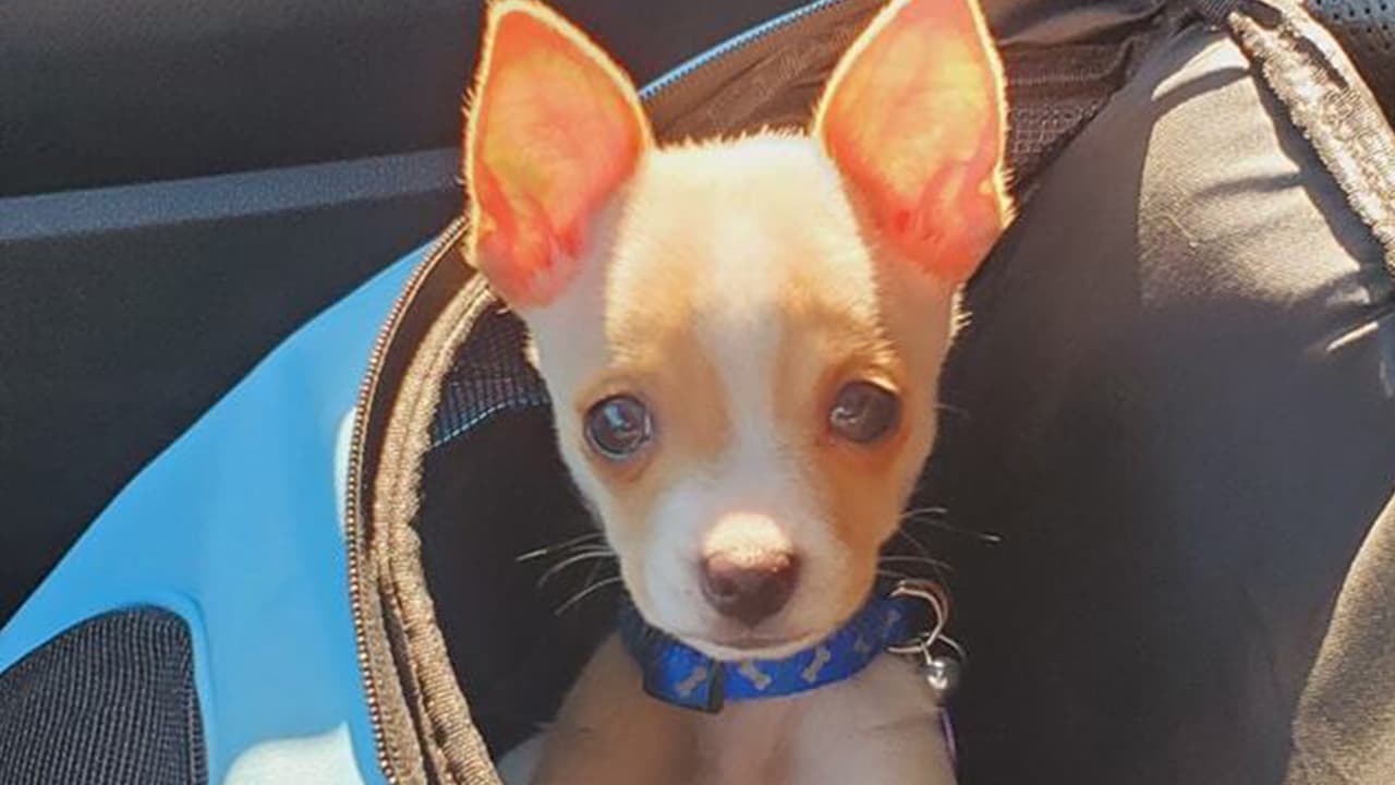 Lizz Jv compartió la foto de Tito de 3 meses.