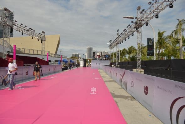 Así luce la alfombra magenta.