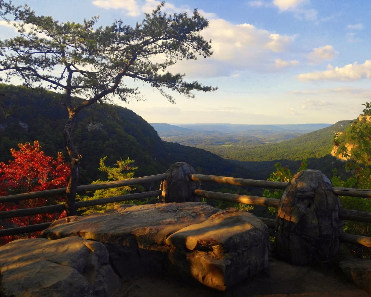 <b><a href="https://gastateparks.org/CloudlandCanyon">Cloudland Canyon State Park</a></b>: Mira uno de los cañones más espectaculares del sureste de Estados Unidos con senderos excepcionales para ver florecer el laurel de montaña y los cornejos en primavera. Extiende tu estadía en una de las yurtas y cabañas que incluyen futones en el interior, fogatas en el exterior y duchas de agua caliente ubicadas en el centro.
