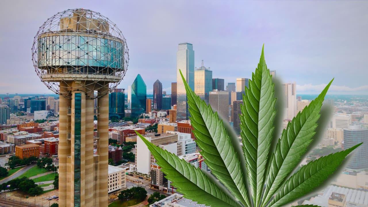 Cuando Dallas votó “sí” al cannabis y la Propuesta R: ¿Qué podrá o no hacer la policía?

