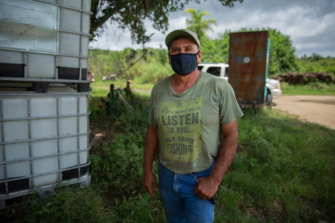<b>The crisis hits an eggplant field</b> - Francisco Maldonado, a Mexican who migrated in 1985, is in charge of this eggplant field. During the crisis, Francisco also temporarily lost clients in New York, New Jersey and Connecticut, his main markets. "When that closed up there, the packing houses here had to close and they couldn't receive products. So we always had to keep a certain number of parcels to cut daily. And since we couldn't cut them, we had to cancel everything," he explained.
