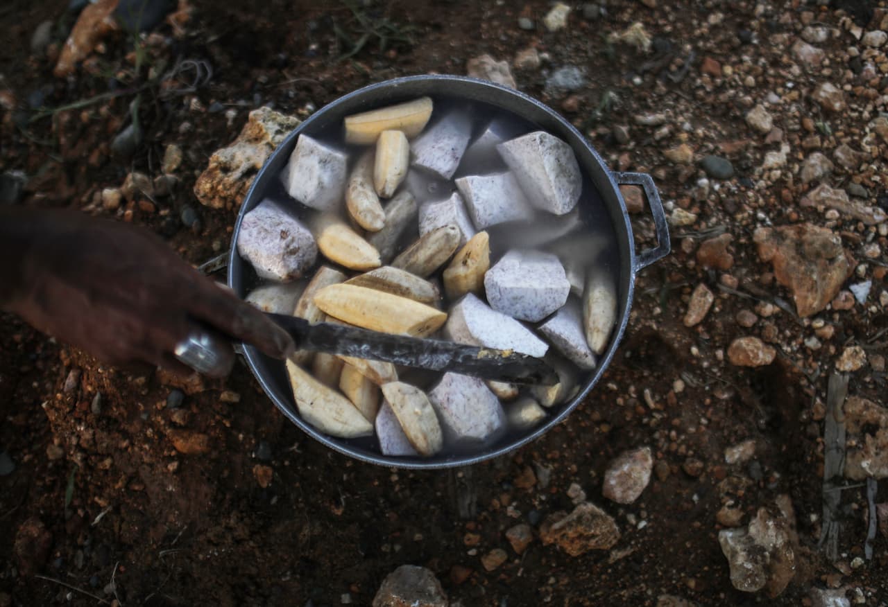 El cambio climático y los conflictos armados multiplican el hambre en el mundo