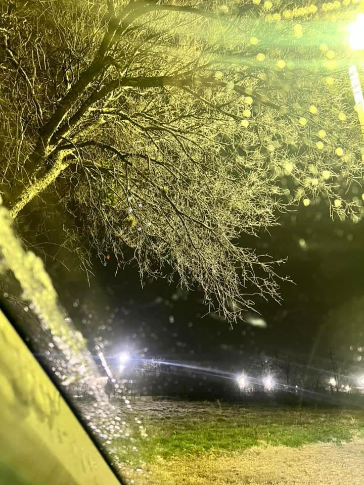 También en Shaenfield y 1604, Ismeria Domínguez captó una legítima postal navideña de este árbol congelado.