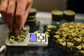 Ella también dice: “
<b>El hecho de que algo sea legal no significa que sea seguro.</b> Y cuando tomamos decisiones que conllevan riesgos, no es justo imponer esos riesgos a otras personas, especialmente a los niños”.
<br>