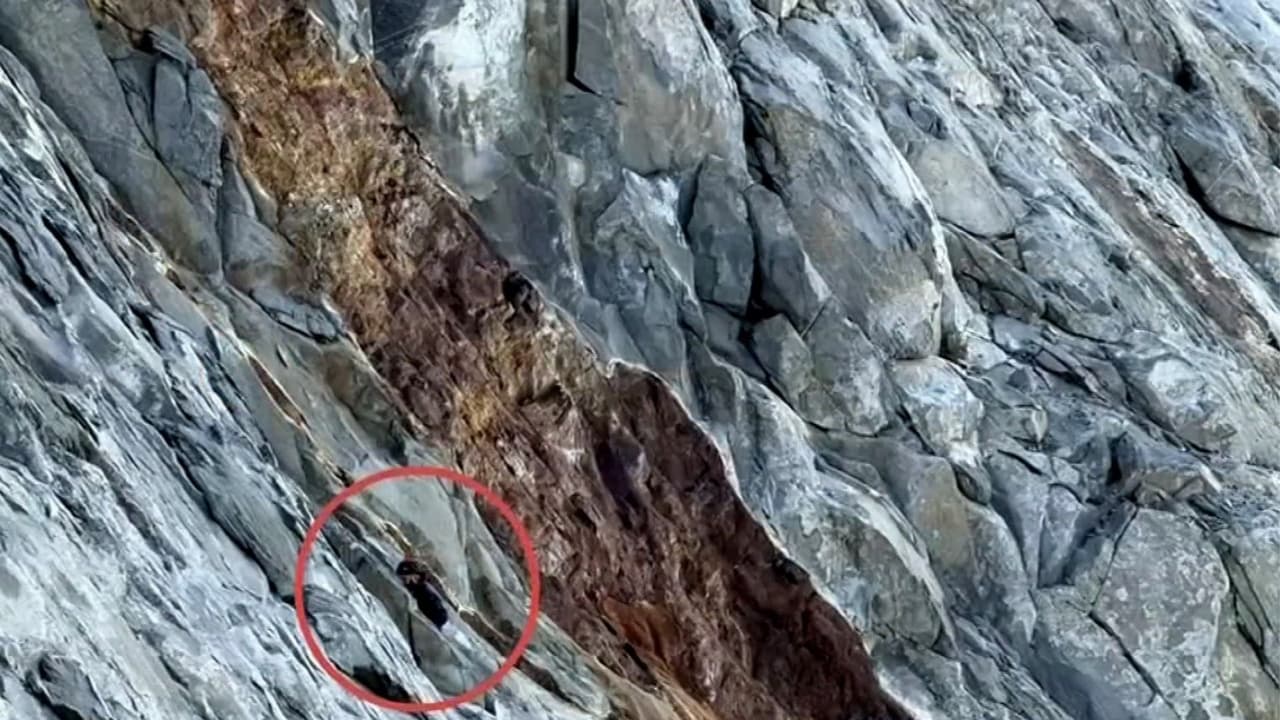 Excursionista vive horas de angustia al quedar al borde de la muerte en una montaña en California