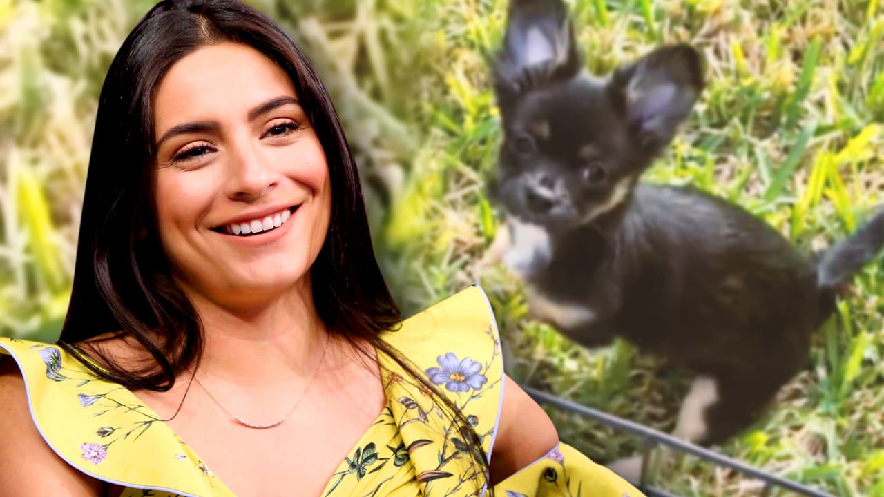 “¡Bravo, mamita!”: Ana Brenda celebra en grande un éxito de su bebé Tomasa