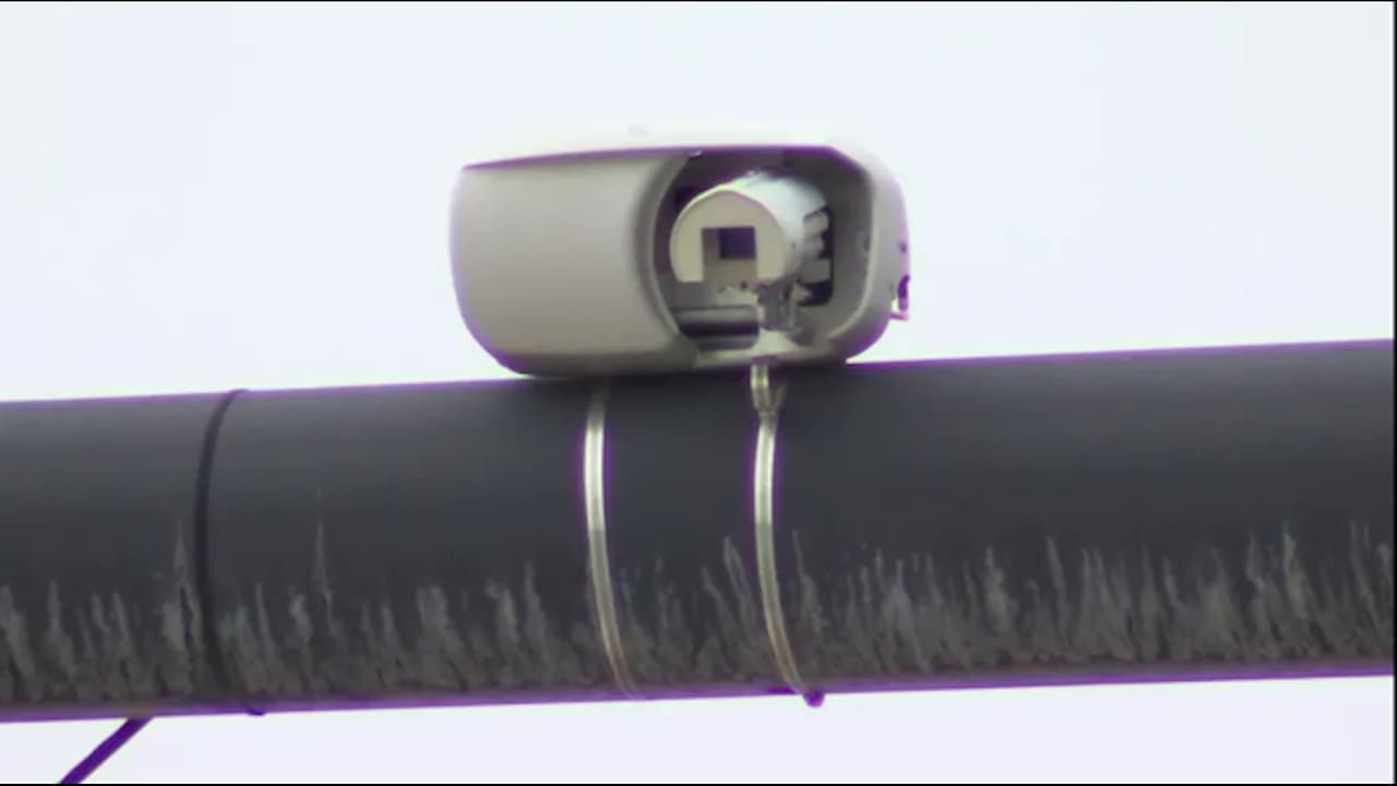 Implementan programa con inteligencia artificial para prevenir accidentes de tránsito en Lakeland   