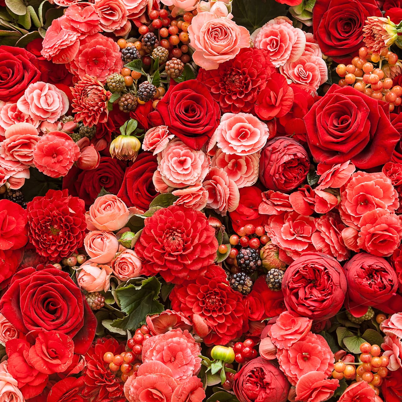 Rodéate de flores rojas, que es tu color zodiacal, tanto rosas como claveles y si puedes conseguir algún rubí u otra gema de color rojo, sería formidable.