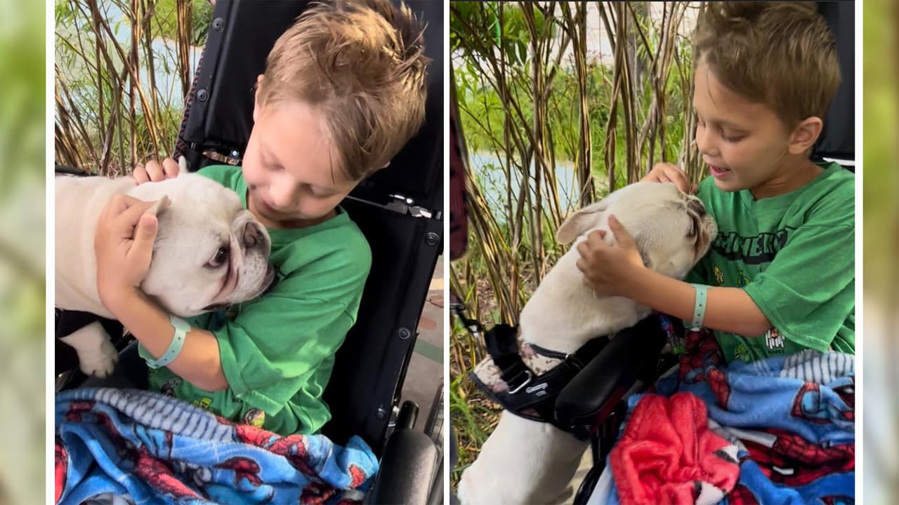 Cooper Roberts, niño herido en Highland Park, deja el área de Cuidados Intensivos