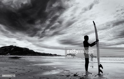 Titulo capacitacion Ludwika Paleta VIX team