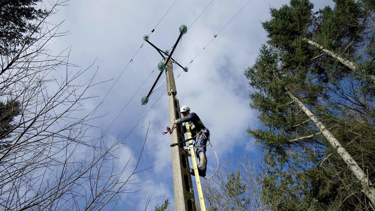 ¿Necesitas reportar daños o falta de mantenimiento en postes de Los Ángeles? Te decimos cómo