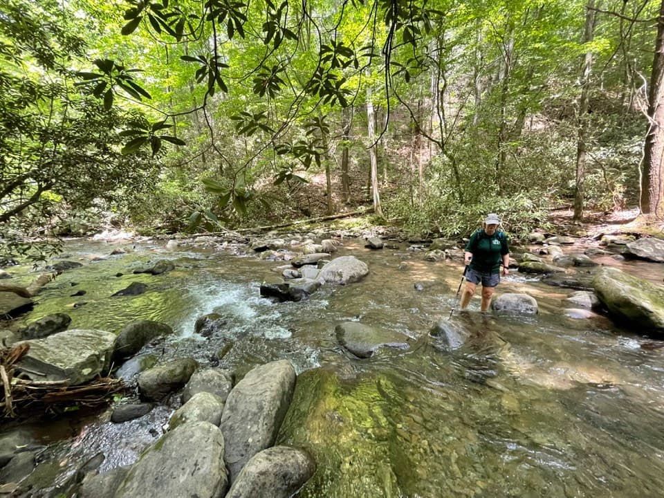 <b>Emery Creek Trail (Chatsworth)</b>:
<br>
<b>Sitio web</b>:
<br>
<a href="https://goo.gl/maps/NuZTsoSsN2woMxQD7"><b>Cómo llegar</b></a>
<b> </b>
<br>
<br>Al pasar por un popular pozo para nadar en verano en el comienzo del sendero, Emery Creek Trail pasa a través de 20 cruces de arroyos mientras sigue un arroyo de truchas en las afueras de Cohutta Wilderness. El sendero visita las cataratas Emery Creek inferiores y superiores, un par de cascadas remotas y sombreadas, y hasta te puedes dar un chapuzón en la piscina fría debajo de las cataratas inferiores para disfrutar de un excelente descanso a mitad de la caminata.