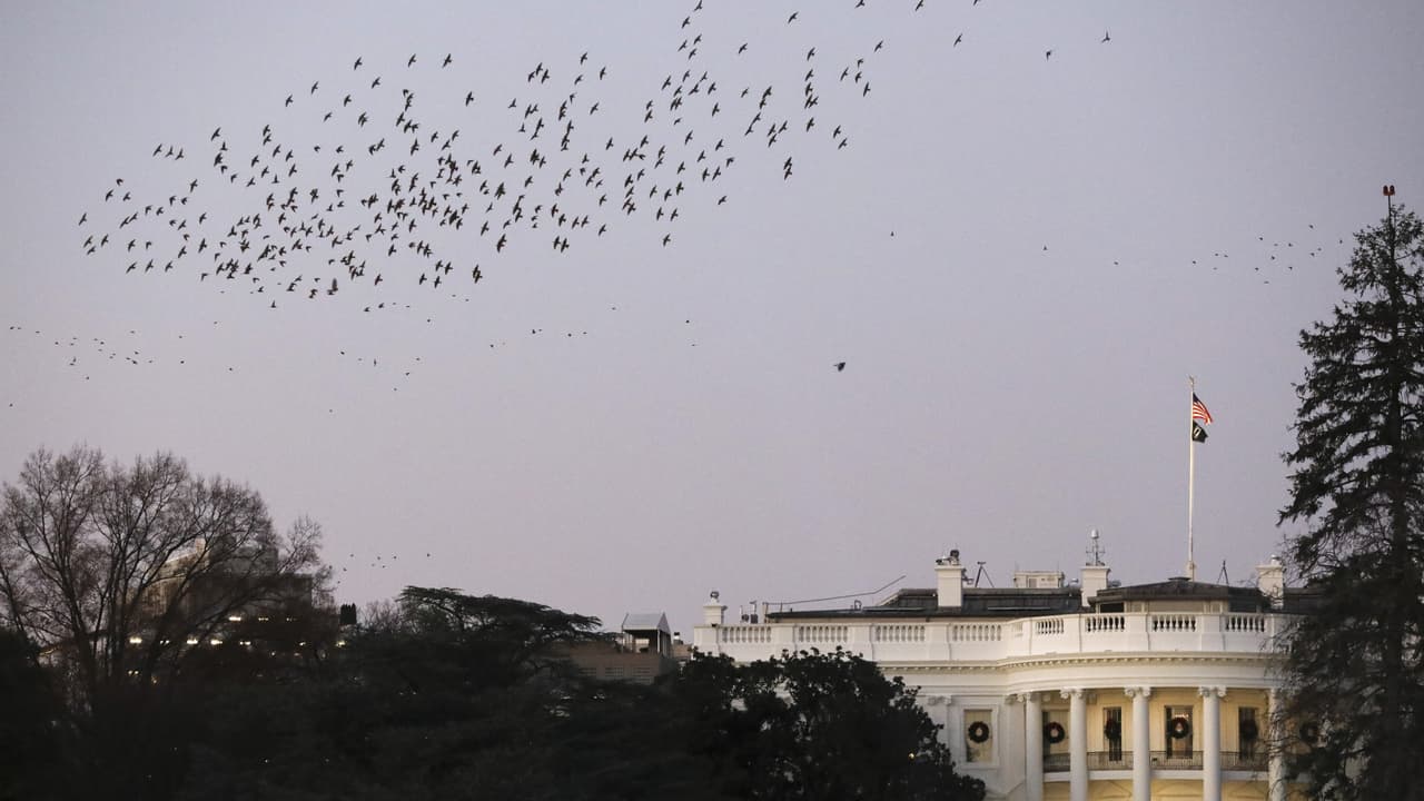 <b>En video: Desastres naturales, muertes y deportaciones: el 2021 y las cifras escalofriantes que marcaron el año</b>
<br>
<br>Cerramos el 2021 con los datos que marcaron el año y alcanzan nuevos hitos en la historia de EEUU en las muertes por covid, por sobredosis y por accidentes de tránsito, así como las cifras en desastres naturales y deportaciones migratorias para el 2021.