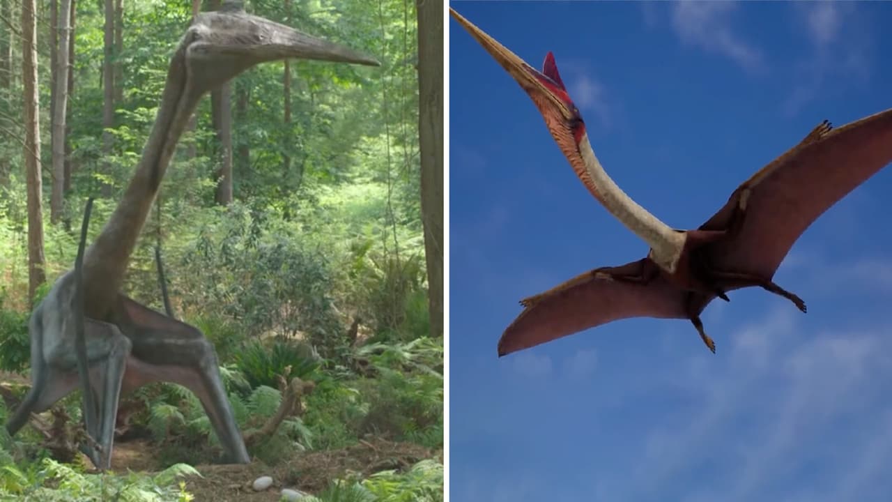 El animal volador más grande de la historia medía lo mismo que un autobús: así lucía