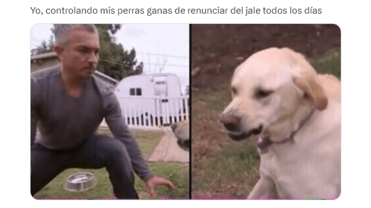 Memes para personas a las que les urge cambiar de trabajo