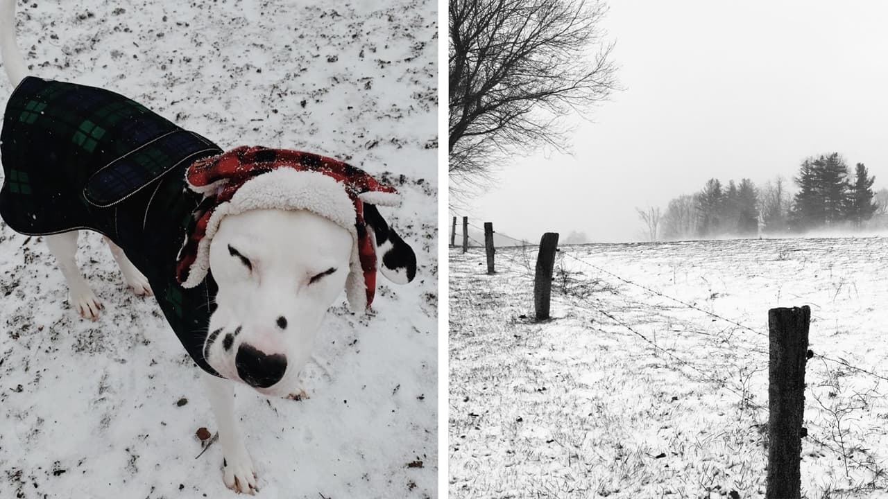 La primera nevada significativa de la temporada de invierno sorprendió a residentes del oeste de Carolina del Norte.