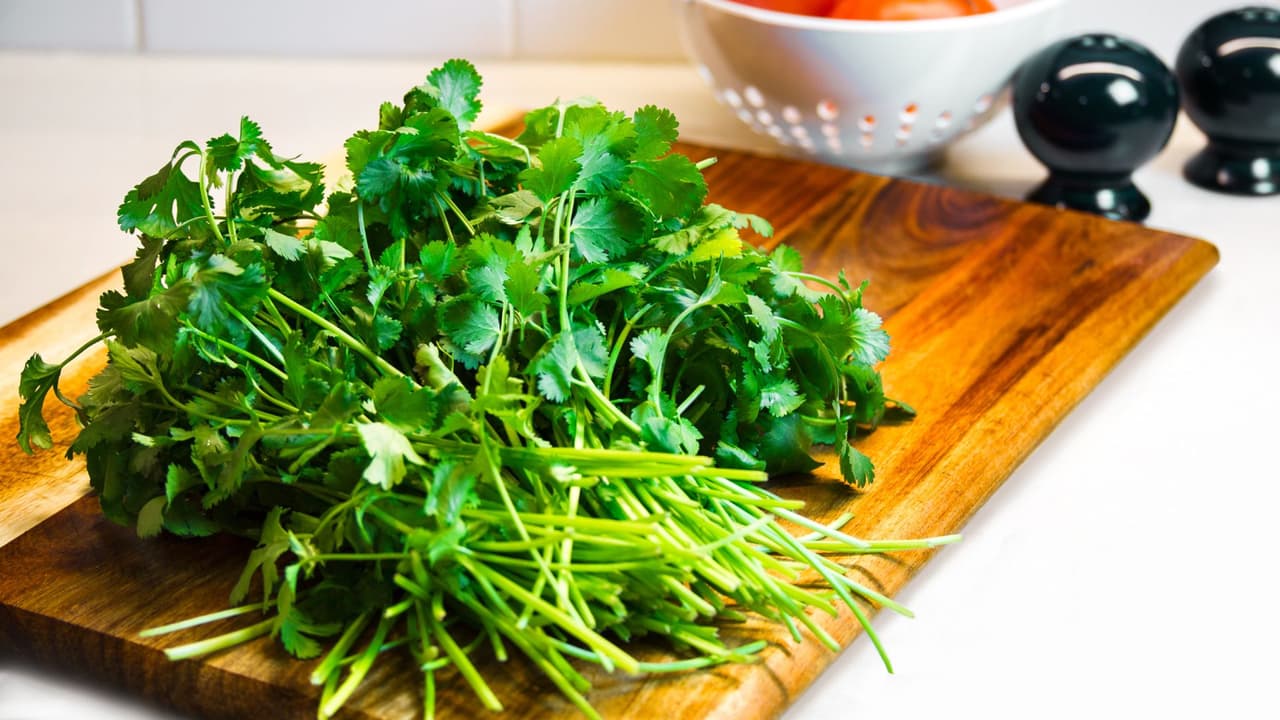 Diferentes usos del cilantro que nadie te dijo, como sus increíbles propiedades curativas